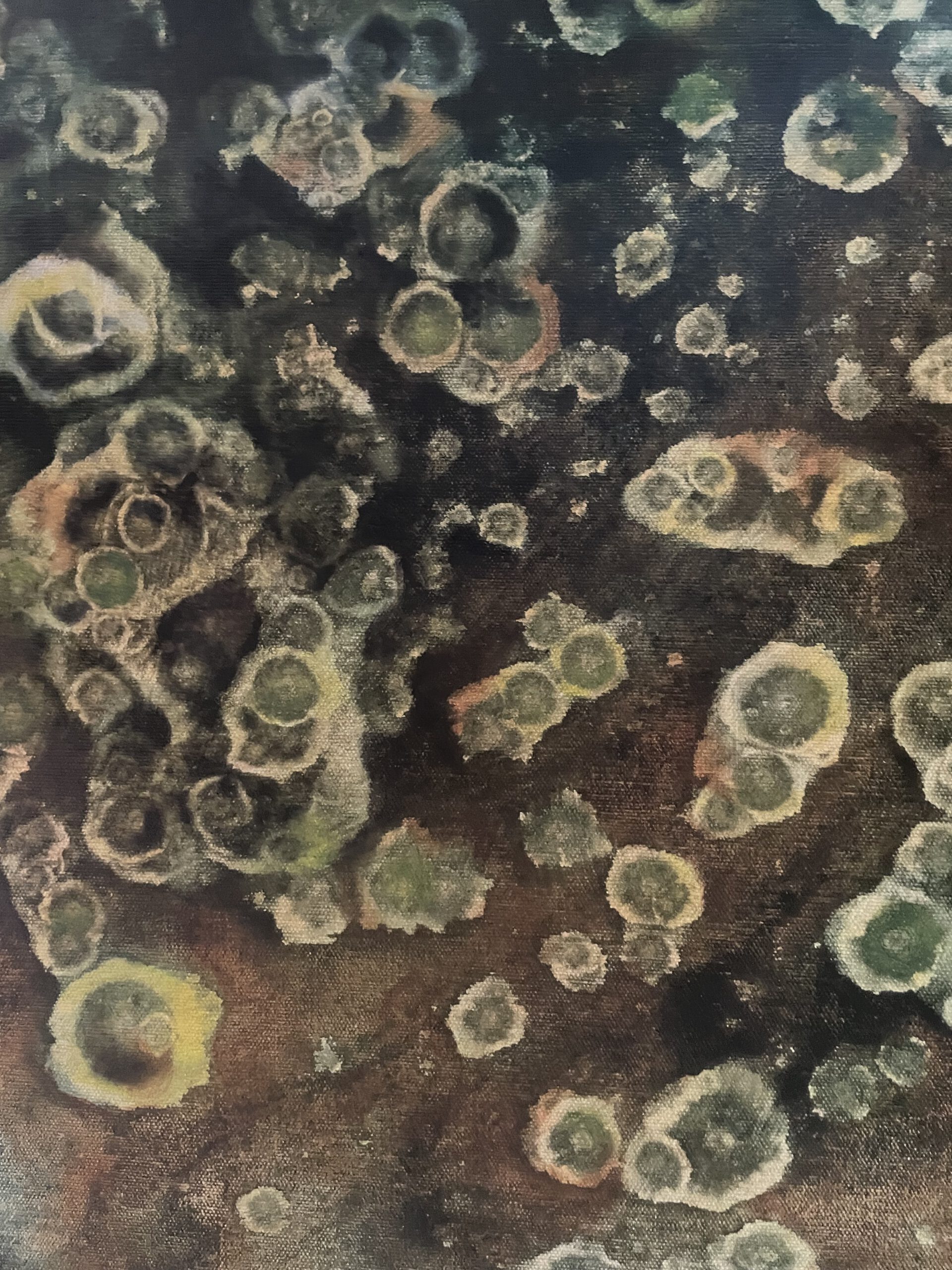 Petra Broo: Zelluläre Freude im Zwielicht - Detail